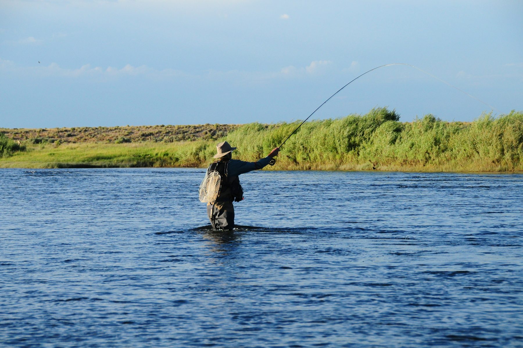 Commercial bass traffic ideas